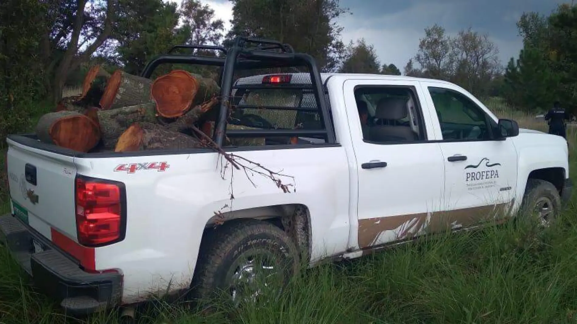 SSC y Profepa realizan operativo en la Malinche